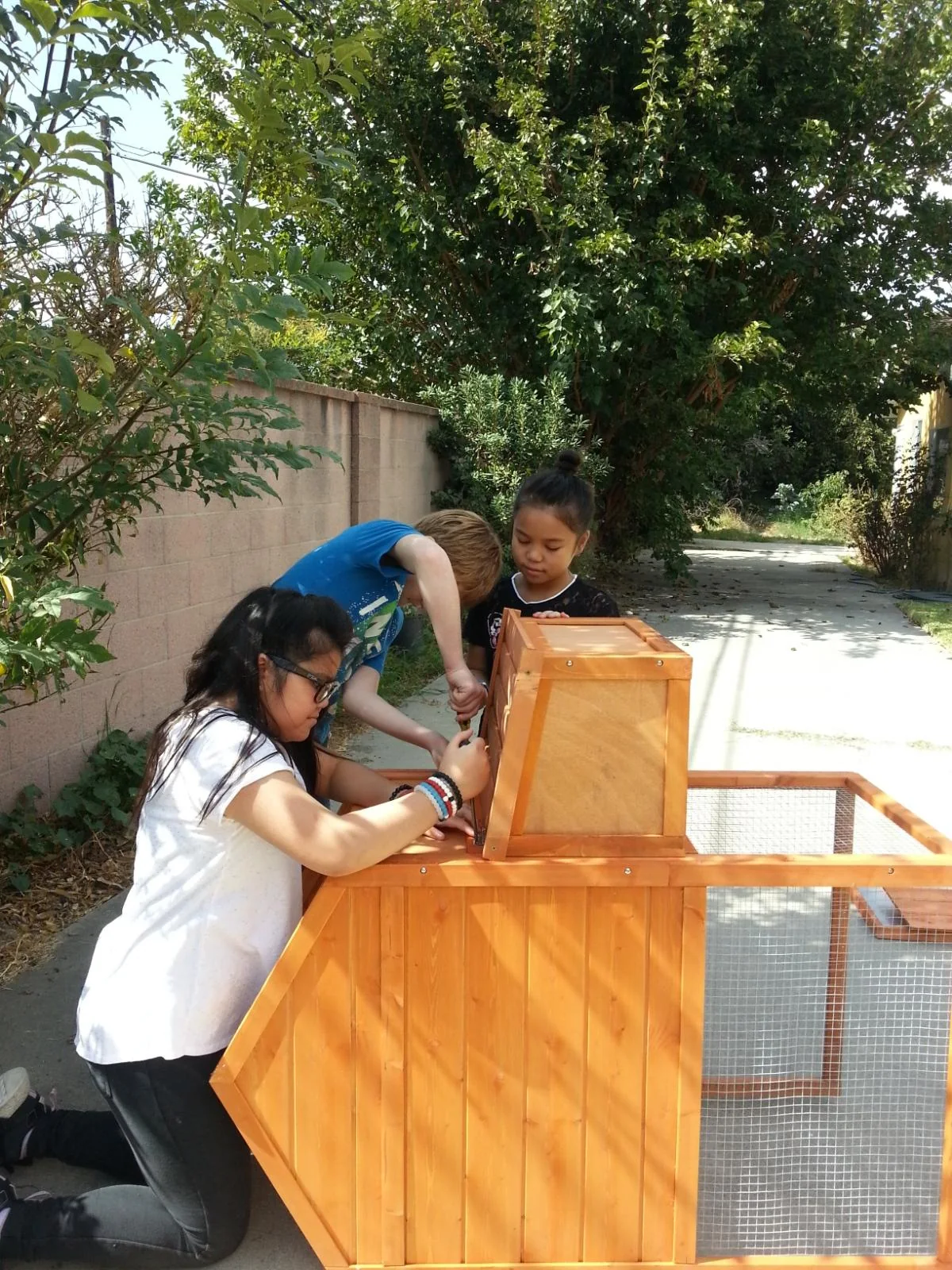 Children working together on an outdoor animal enclosure
